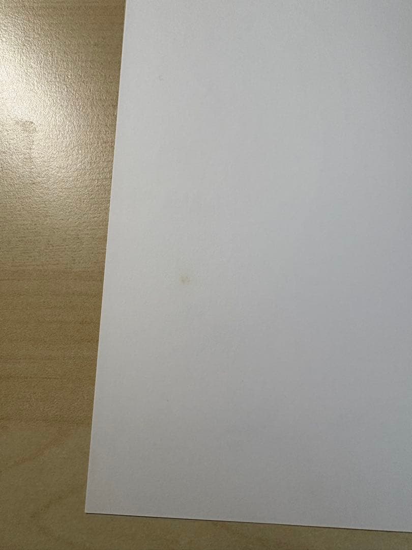 谷川晃一●版画集　Ｒの肖像　200部限定