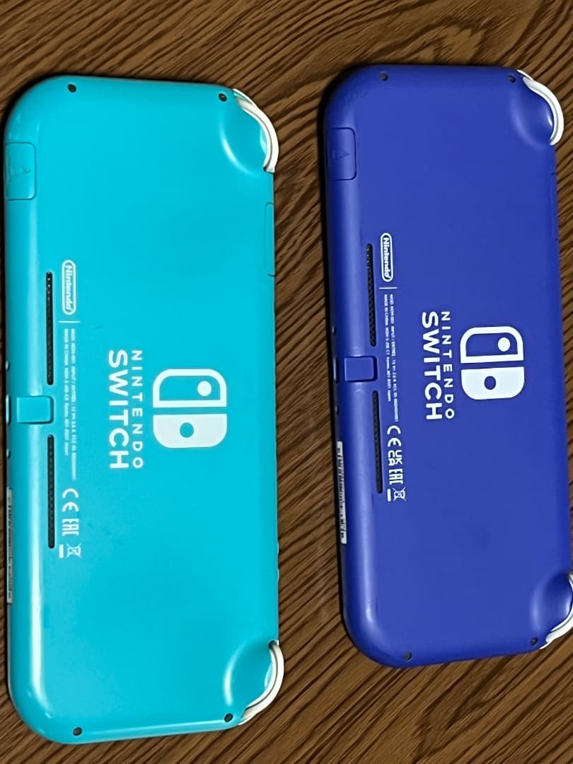 ニンテンドースイッチライトジャンク品(2種)