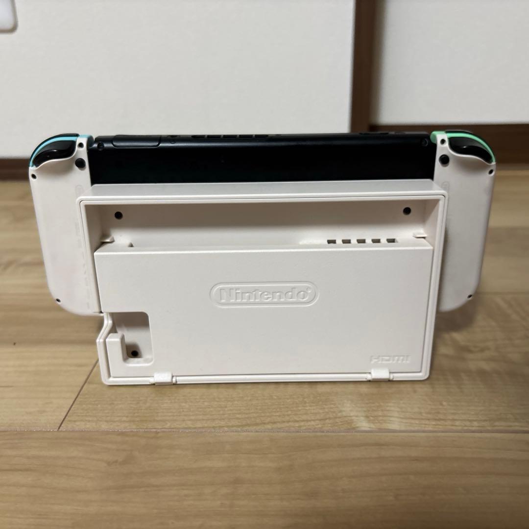 Nintendo Switch あつまれ どうぶつの森セット　専用ケース付き