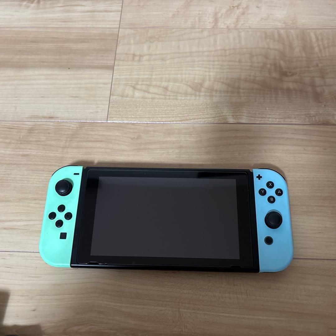 Nintendo Switch あつまれ どうぶつの森セット　専用ケース付き