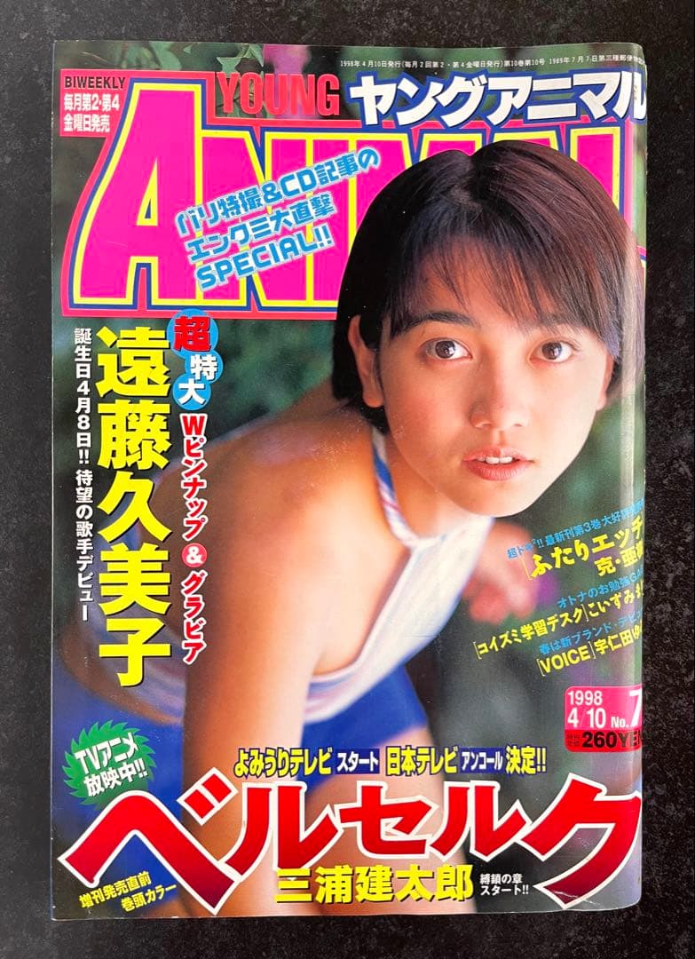 ●ヤングアニマル 1998年 No.7 ●巻頭カラー···ベルセルク 第118話