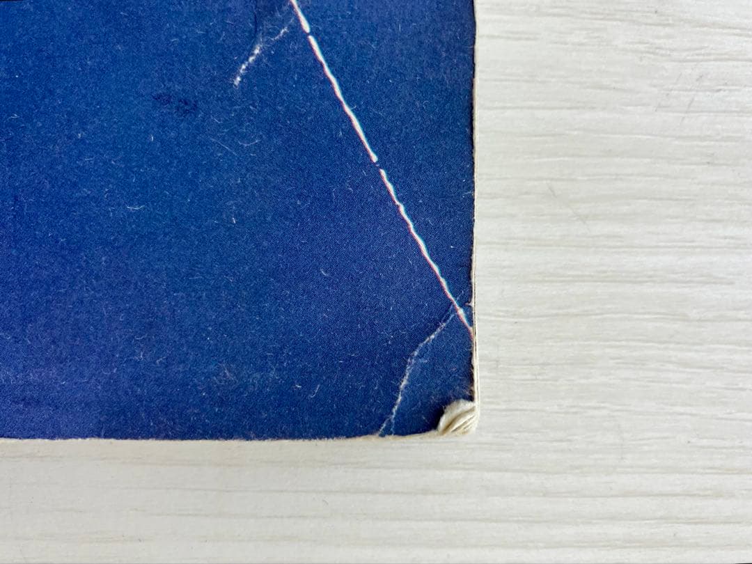 映画「愛情萬歳 」大判A3パンフレット ツァイ・ミンリャン監督【希少品】