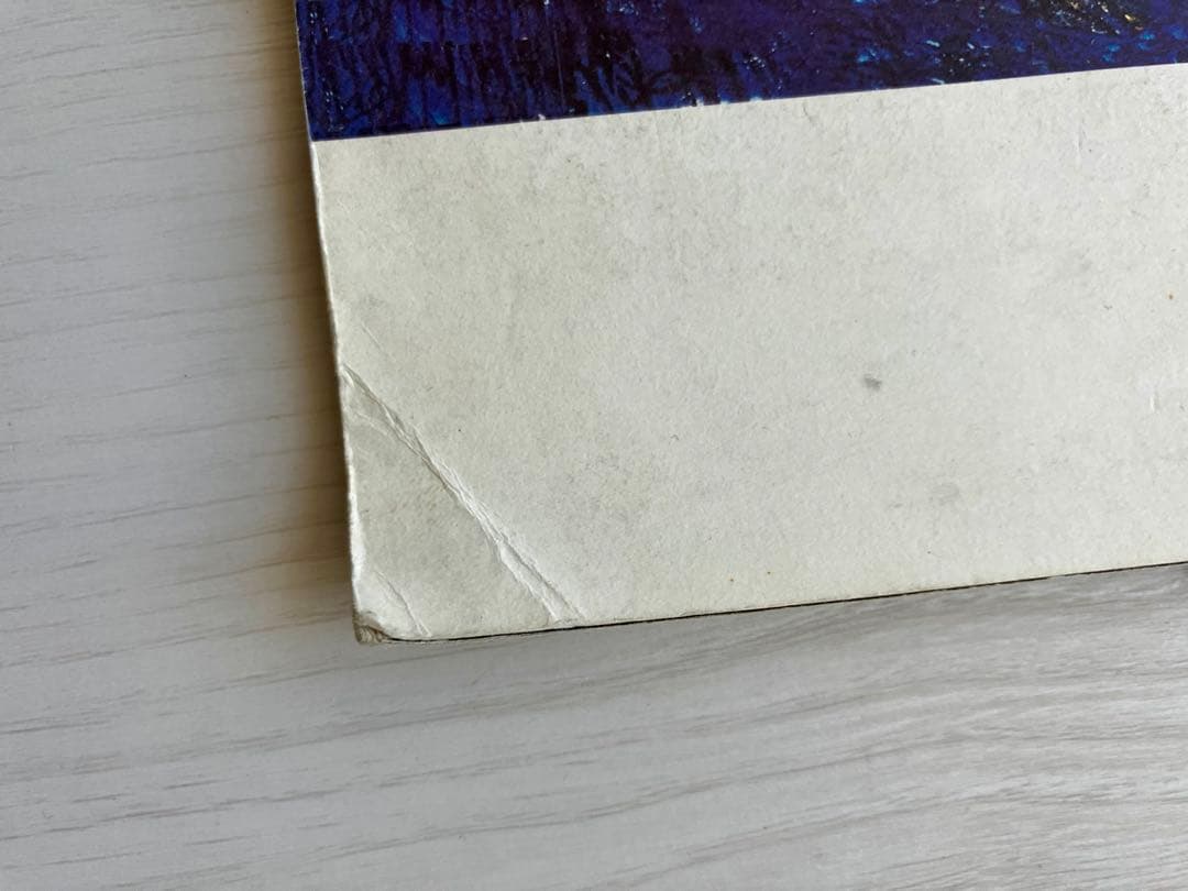 映画「愛情萬歳 」大判A3パンフレット ツァイ・ミンリャン監督【希少品】