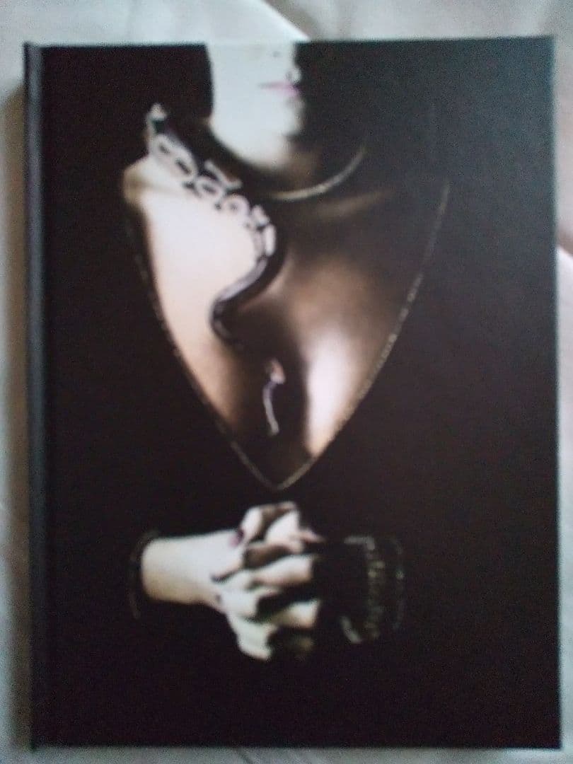 Whitesnake　スライド・イット・イン　アルティメット　エディション