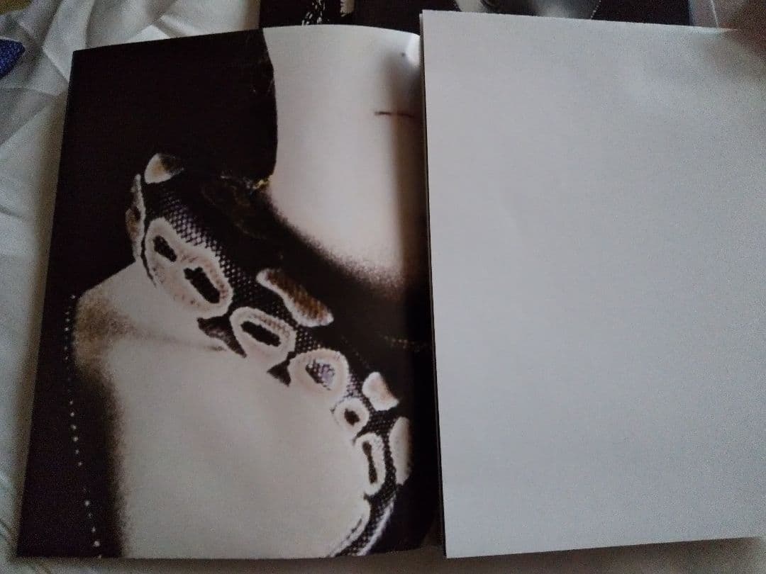 Whitesnake　スライド・イット・イン　アルティメット　エディション