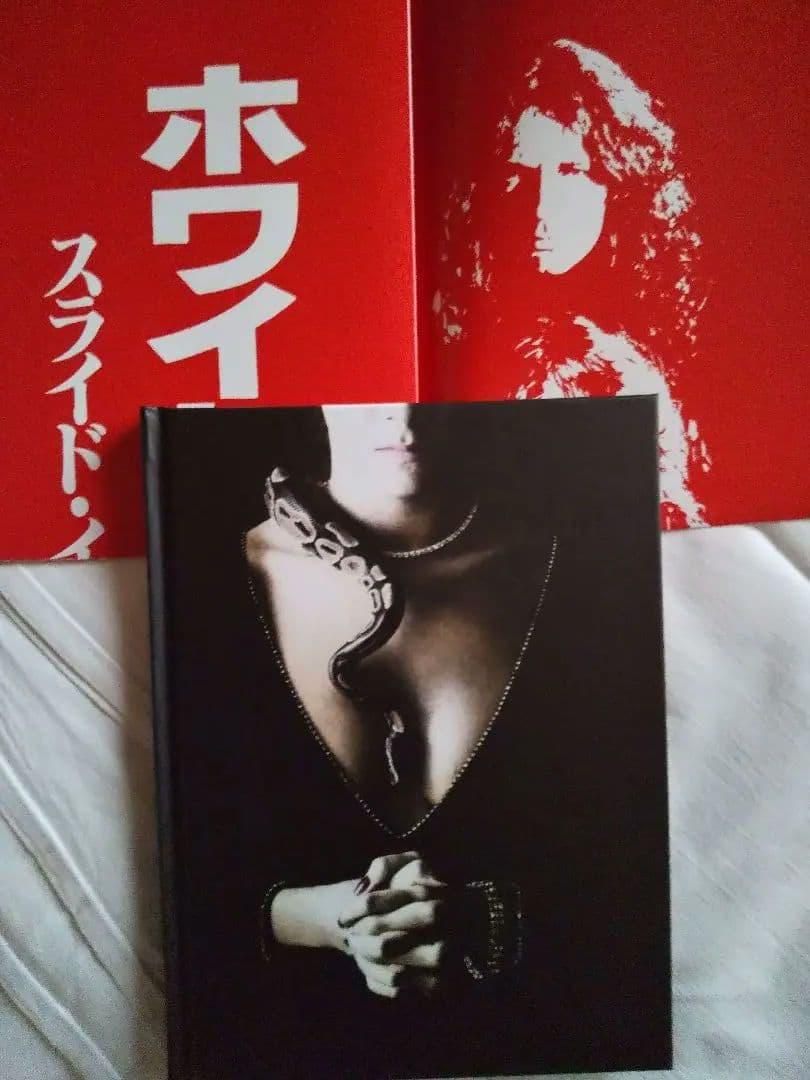 Whitesnake　スライド・イット・イン　アルティメット　エディション