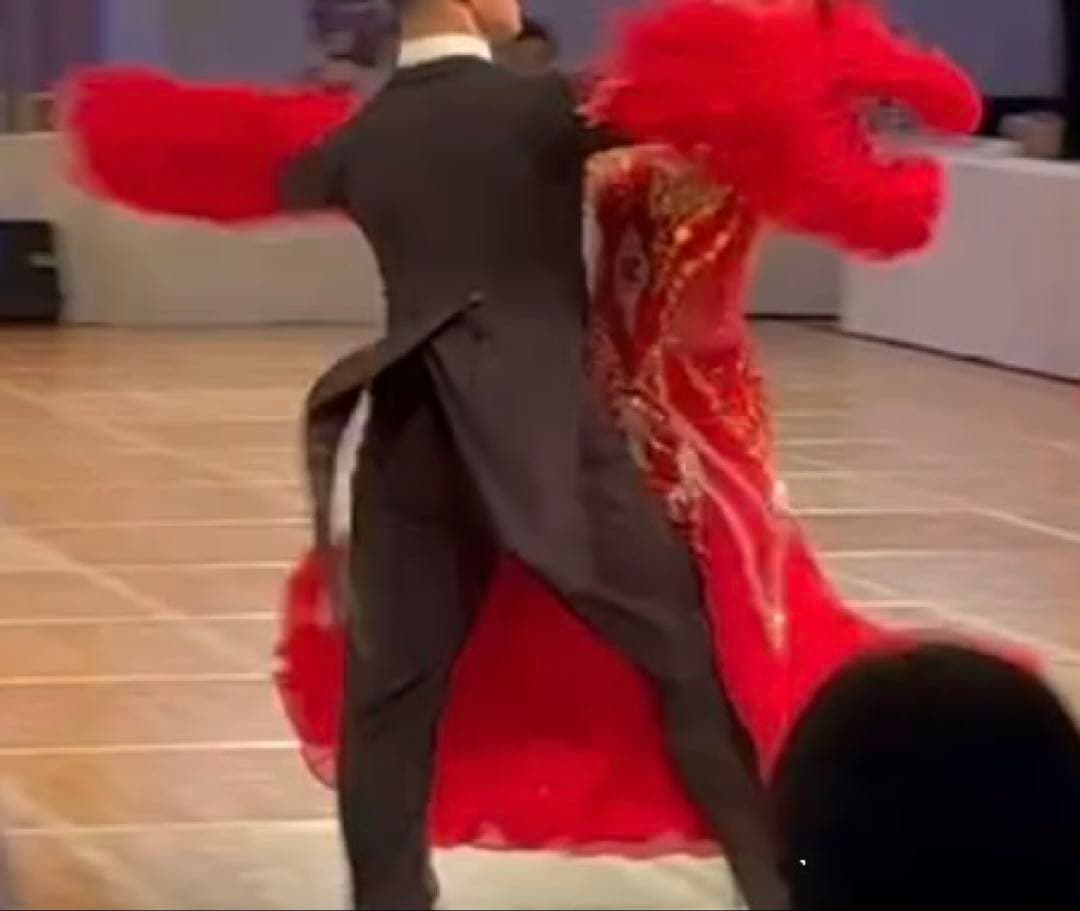 豪華　ヨーロッパハイブランド　M オーストリッチ　スタンダードドレス 社交