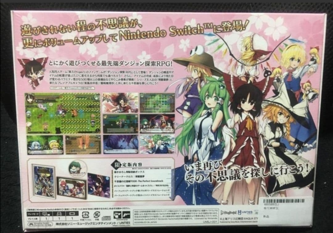美品　東方PJ　不思議の幻想郷TOD 特別限定版 - Switch