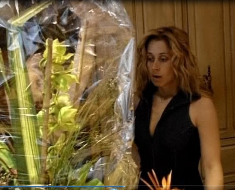 ララ・ファビアンの素敵な魅力紹介DVD-2P[LIVE & INTIME]