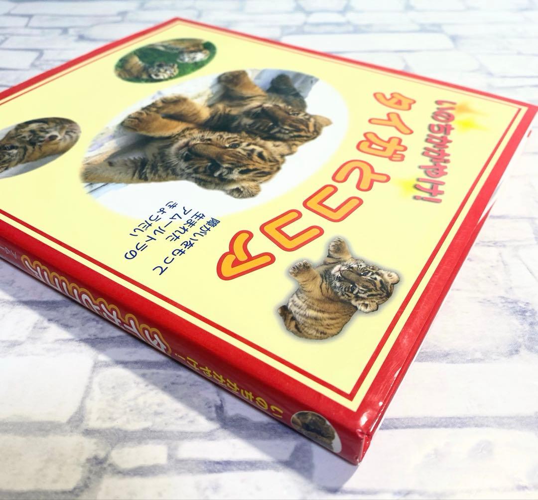 いのちかがやけ!タイガとココア : 障がいをもって生まれたアムールトラのきょう…