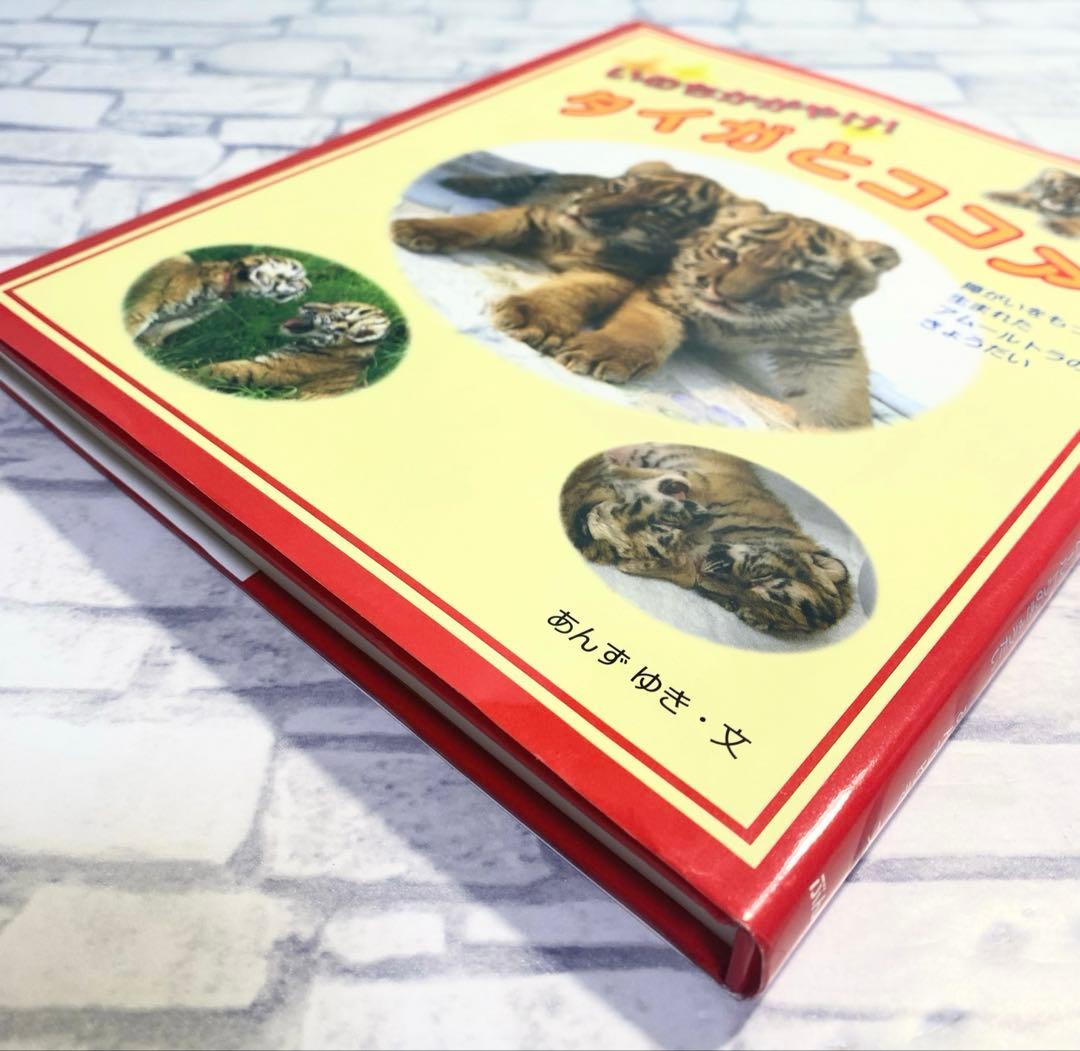 いのちかがやけ!タイガとココア : 障がいをもって生まれたアムールトラのきょう…
