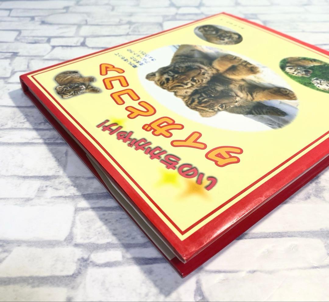 いのちかがやけ!タイガとココア : 障がいをもって生まれたアムールトラのきょう…