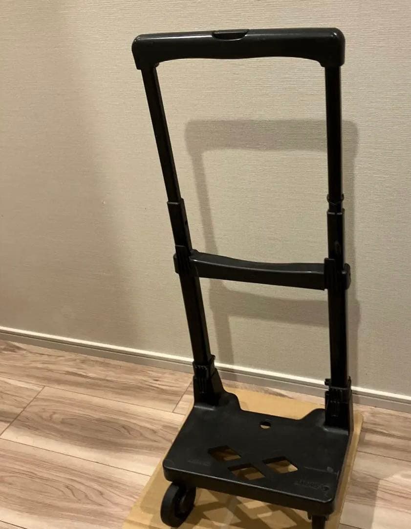 希少 SWANY スワニー キャリーバッグ ショッピングカート ペイズリー柄