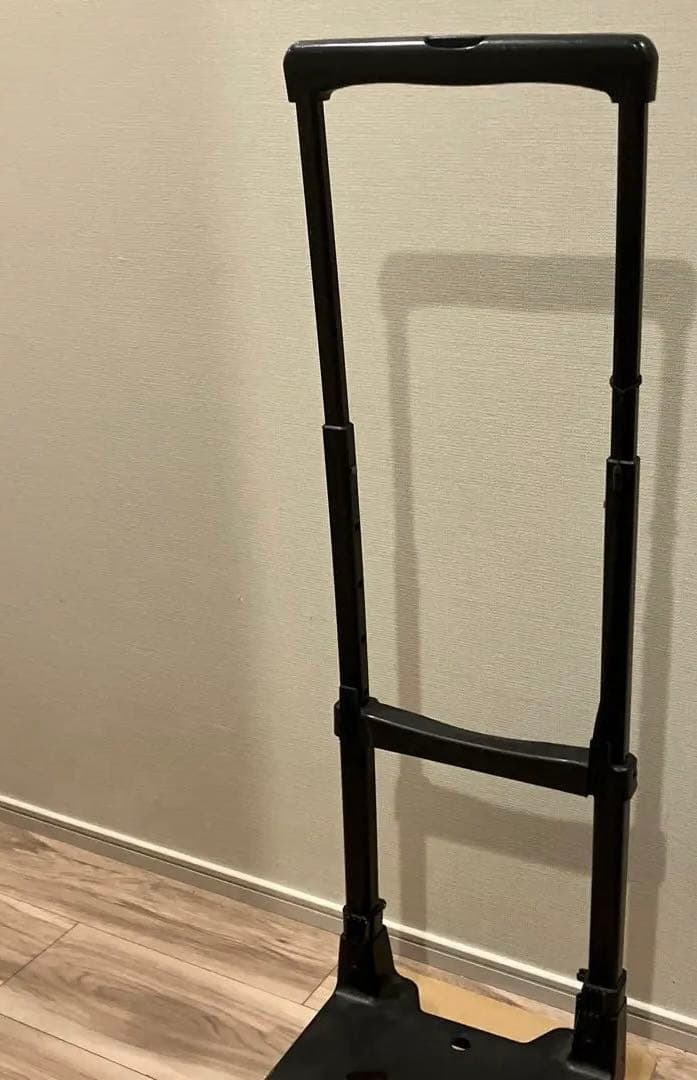 希少 SWANY スワニー キャリーバッグ ショッピングカート ペイズリー柄