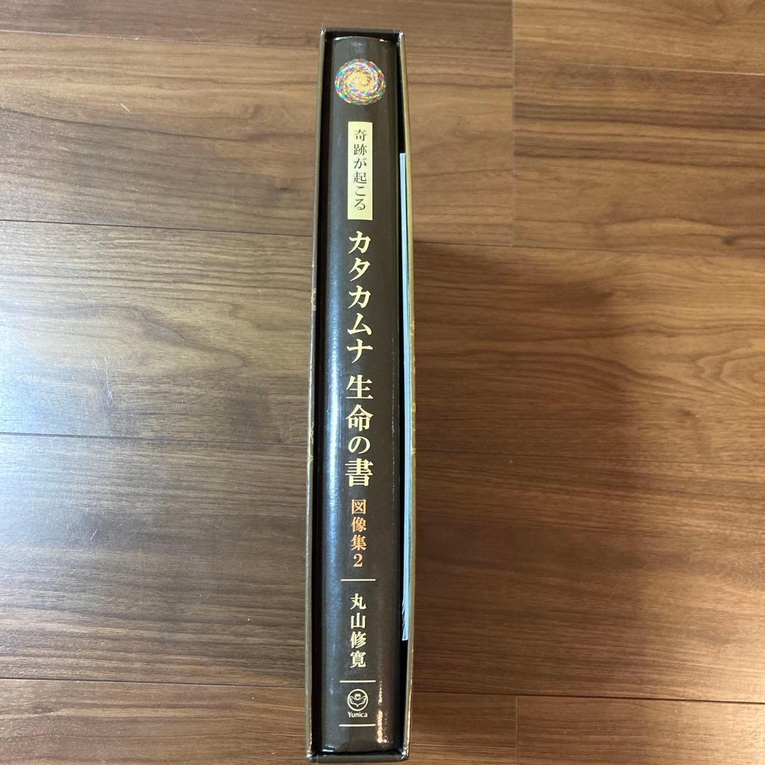 カタカムナ生命の書 図像集2 丸山修寛