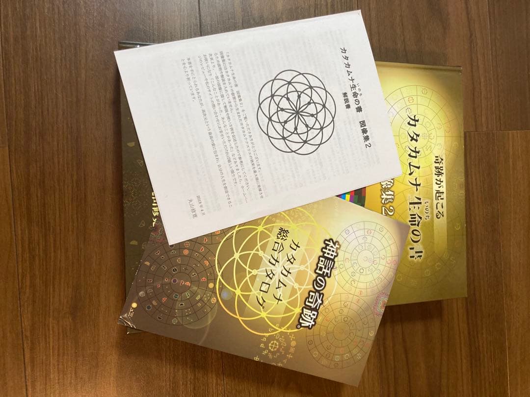 カタカムナ生命の書 図像集2 丸山修寛