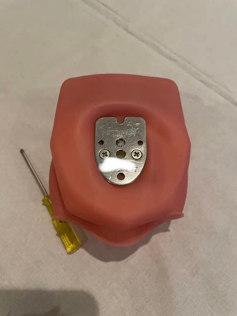 ニッシン　歯科模型　歯牙模型