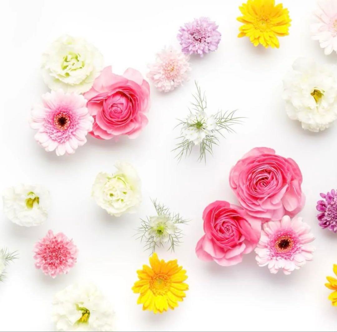 popo** 様　ANAYI アナイ トリアセサテン　ノーカラー