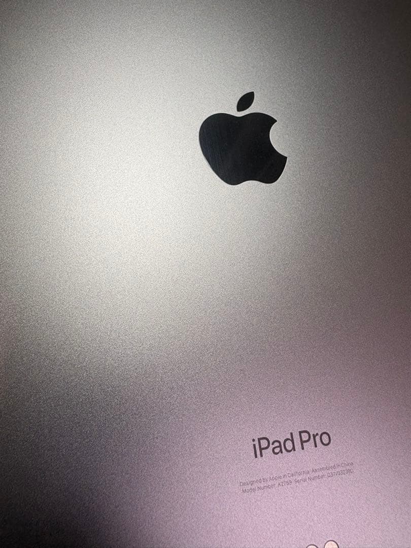 Apple iPad Pro シルバー 本体 256GB 11インチ 第4世代