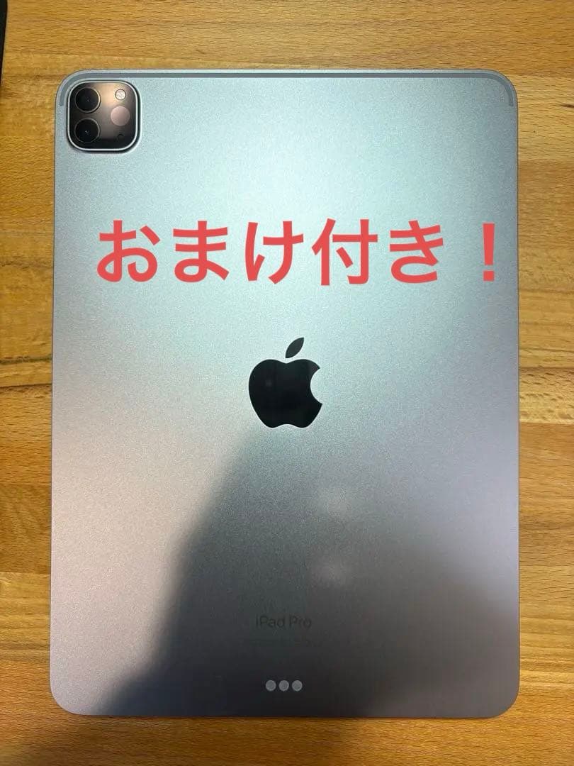 Apple iPad Pro シルバー 本体 256GB 11インチ 第4世代