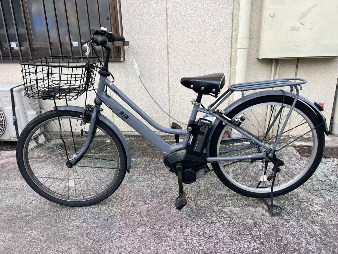 500 ⭐︎Lucy⭐︎さん専用