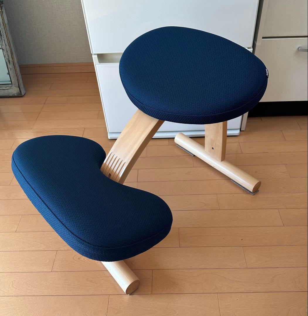 balans Easy バランスイージー 通常フレーム ネイビー　カバー2枚付き