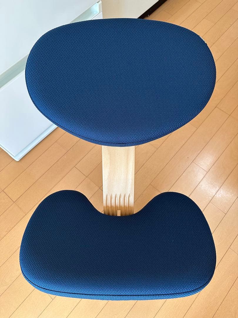 balans Easy バランスイージー 通常フレーム ネイビー　カバー2枚付き