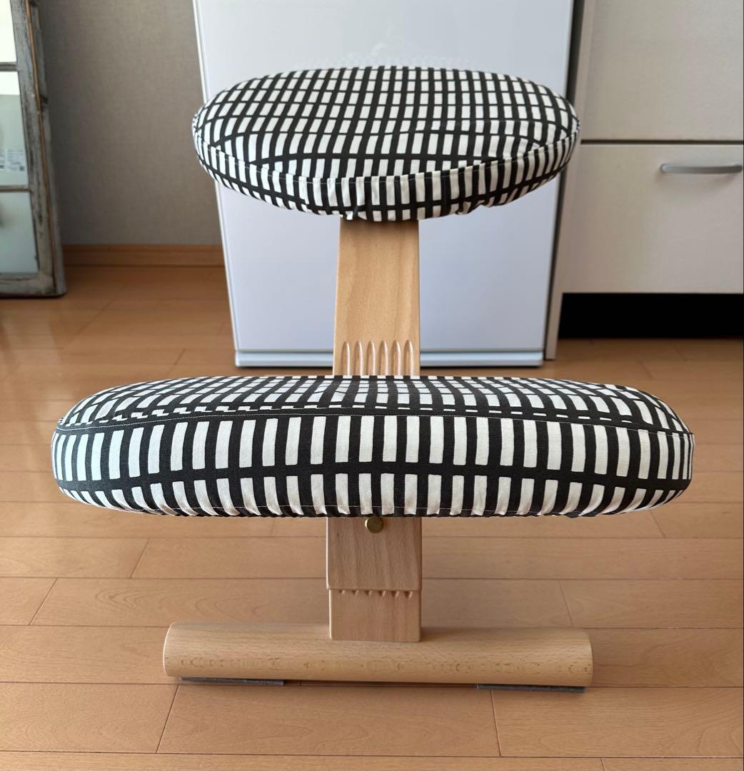 balans Easy バランスイージー 通常フレーム ネイビー　カバー2枚付き