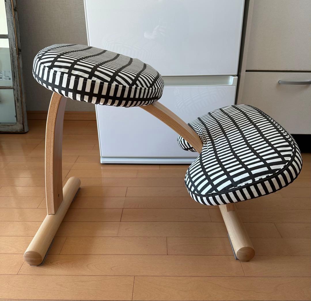 balans Easy バランスイージー 通常フレーム ネイビー　カバー2枚付き