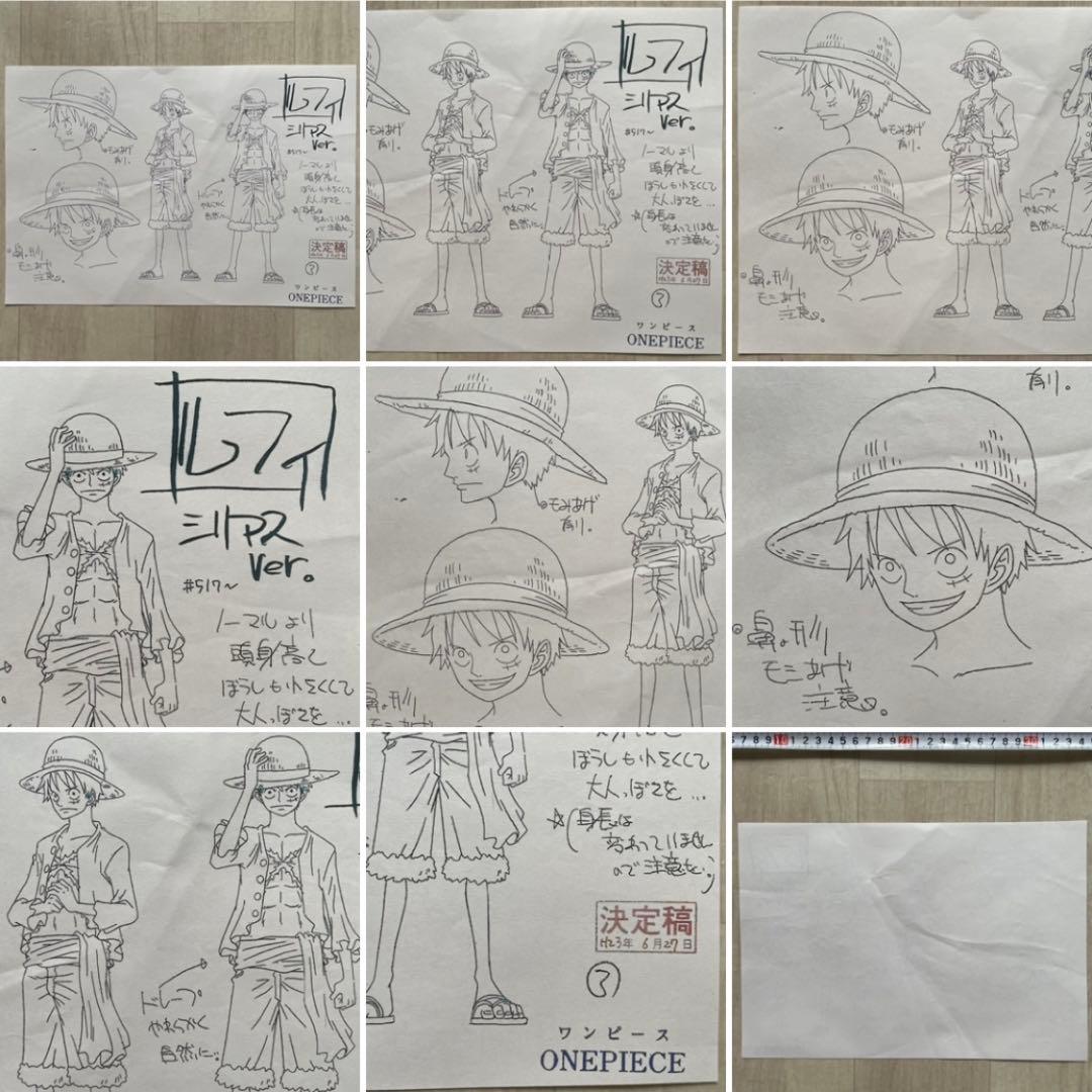 決定稿 1枚 設定資料 モンキー・D・ルフィ シリアス バージョン ver