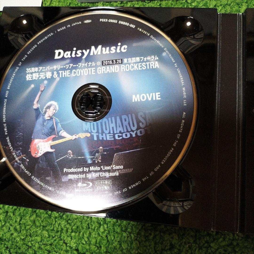 佐野元春/佐野元春&THE COYOTE GRAND ROCKESTRブルーレイ