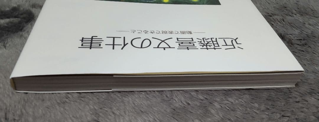 近藤喜文の仕事