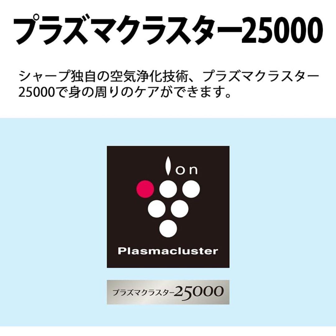 【美品】シャープ プラズマクラスター イオン発生機 ホワイト IG-NM1S-W