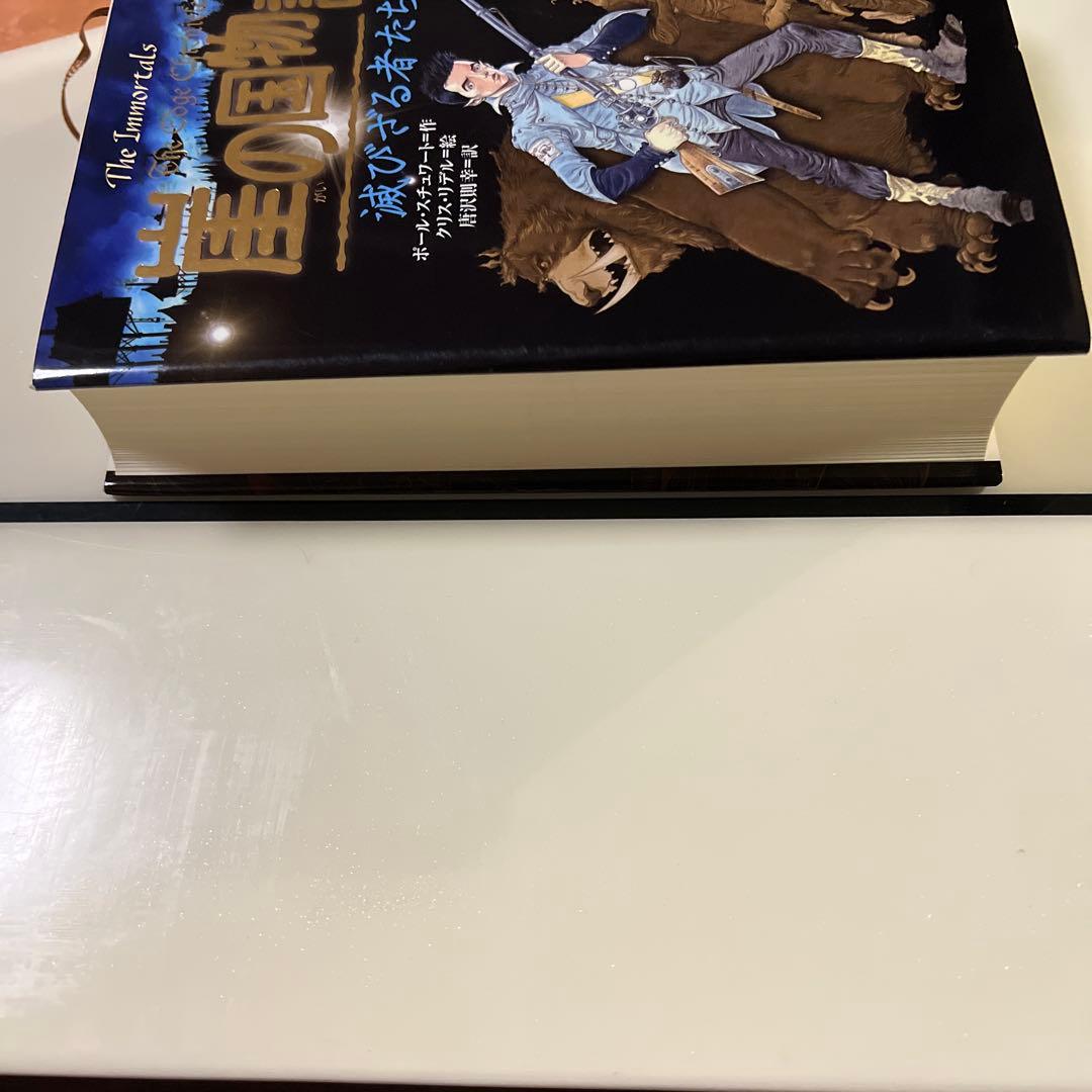 崖の国物語 10 (滅びざる者たち)