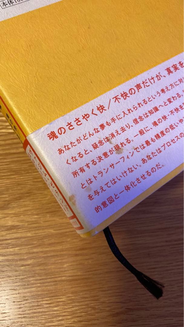 トランサーフィン 2 ヴァディム・ゼランド