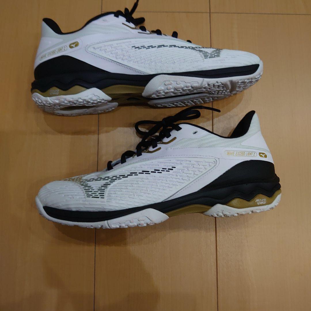 ミズノ テニスシューズ ウエーブエクシードライト 2 SW OC 25.5 cm