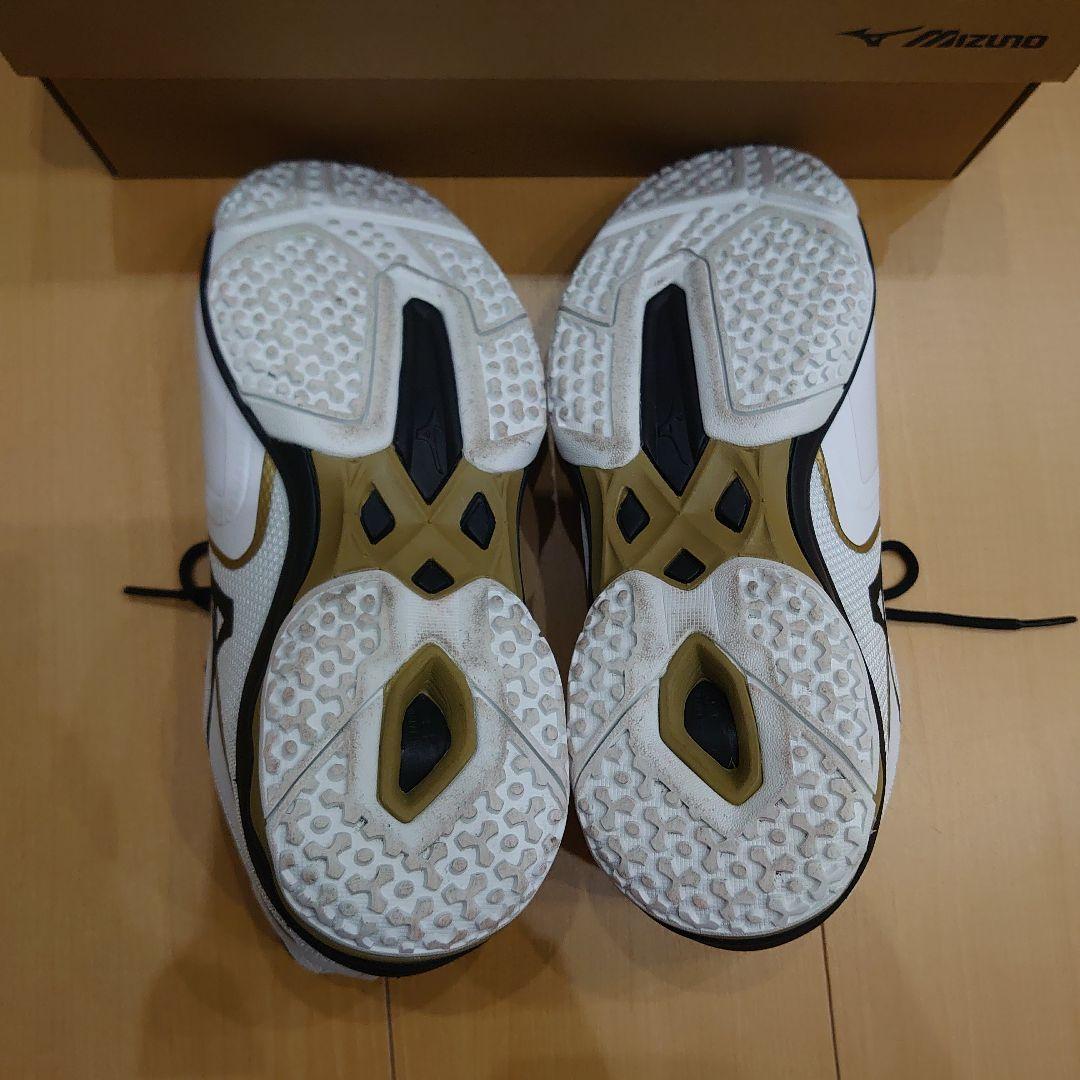 ミズノ テニスシューズ ウエーブエクシードライト 2 SW OC 25.5 cm