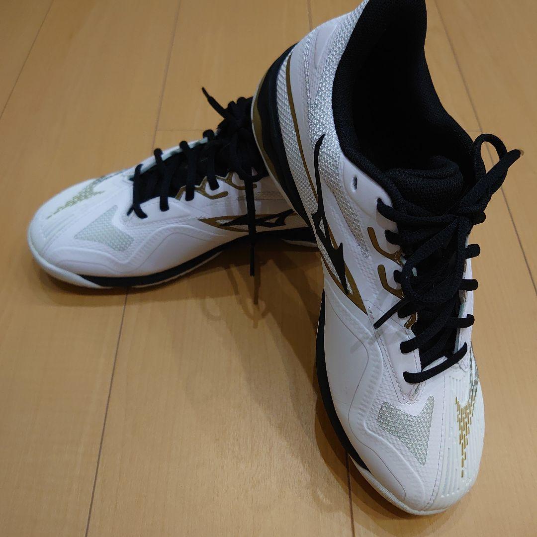 ミズノ テニスシューズ ウエーブエクシードライト 2 SW OC 25.5 cm