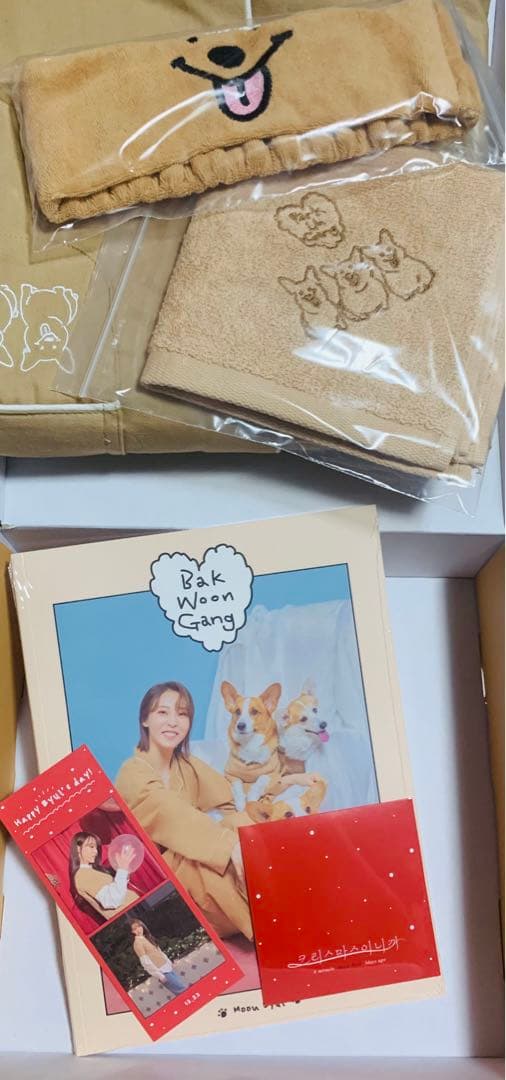 Mamamoo ママム ムンビョル BAK WOON GANG  KIT