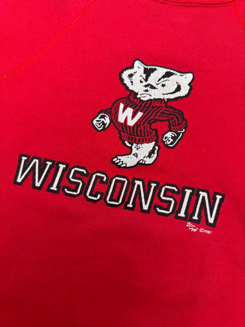 80's 希少‼︎ DISCUS ATHLETIC WISCONSIN バッキー