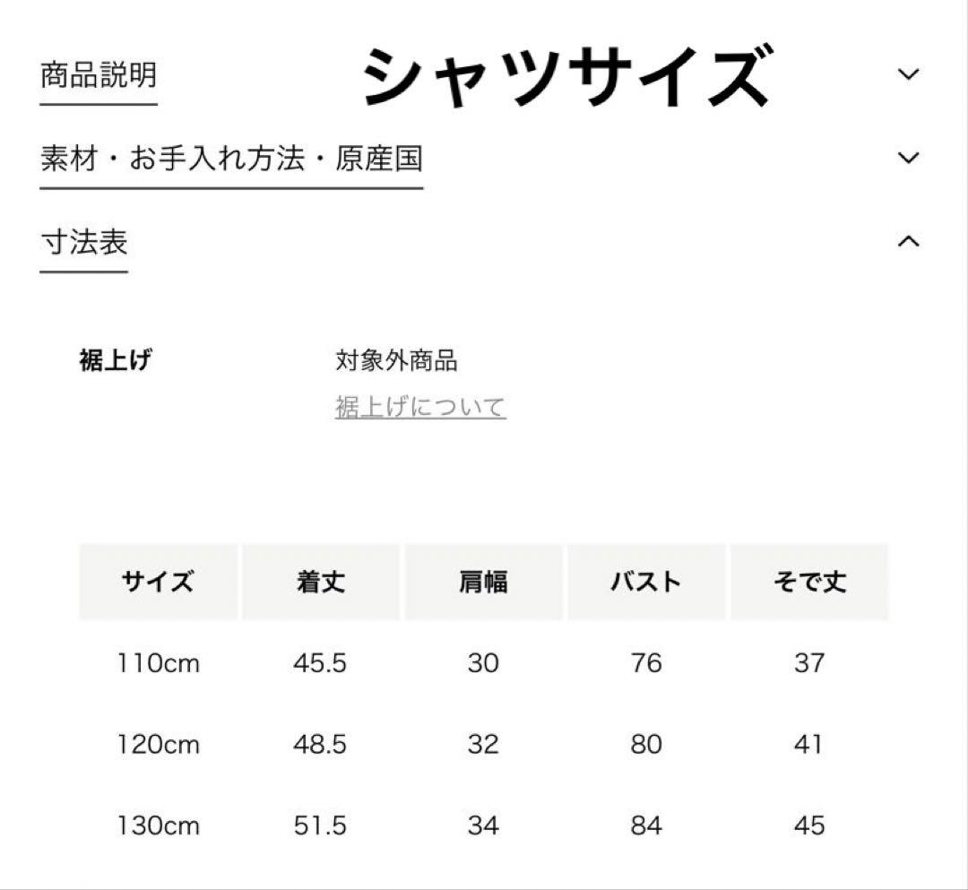 【美品／120cm】グリーンレーベル フォーマル5点セット 卒園式・入学式