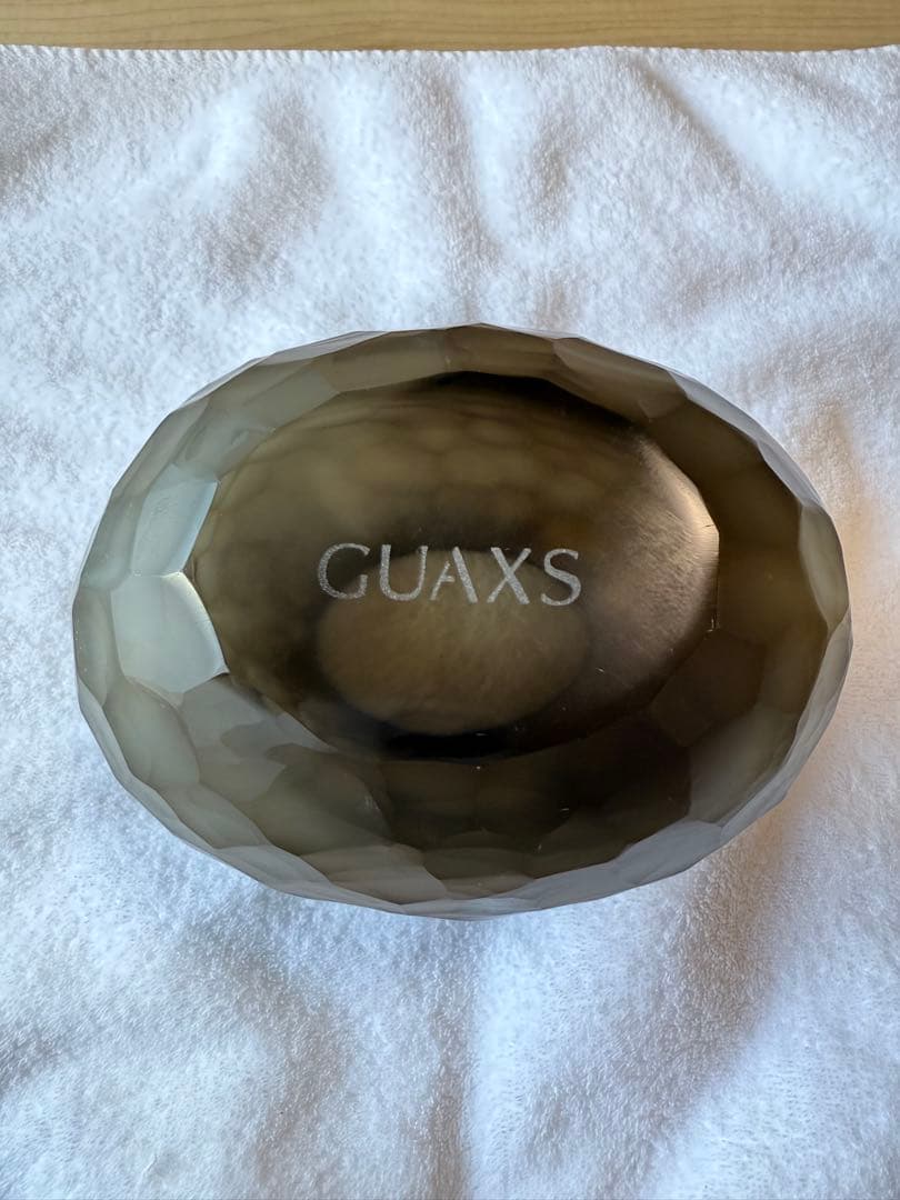 ガクス GUAXS SOMBA S / indigo/smokegrey