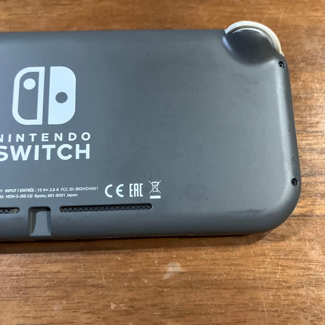 Nintendo Switch Lite 本体　ジャンク　充電器