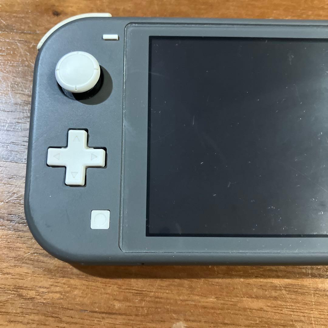 Nintendo Switch Lite 本体　ジャンク　充電器