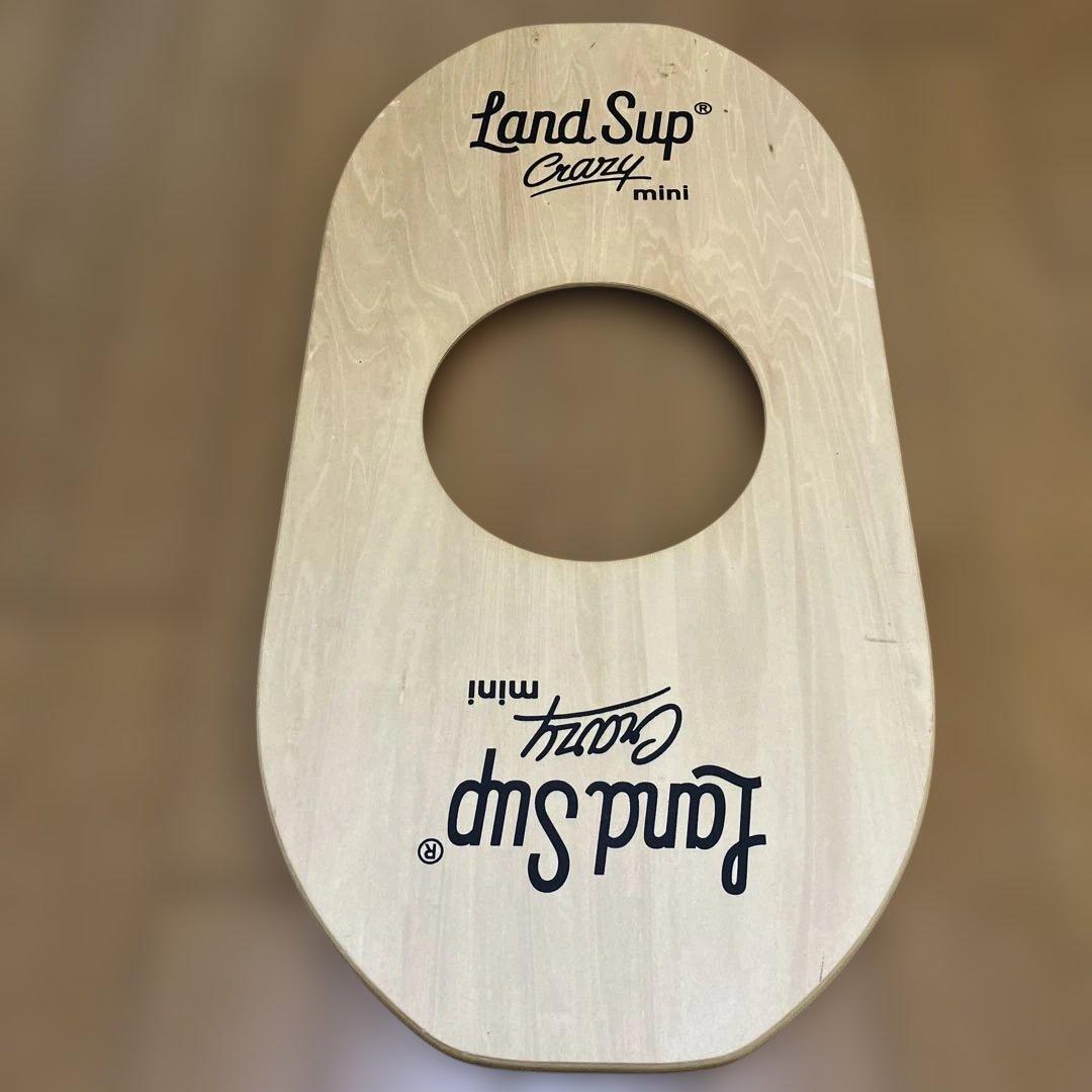 B*H様 Land Sup Crazy mini バランスボード