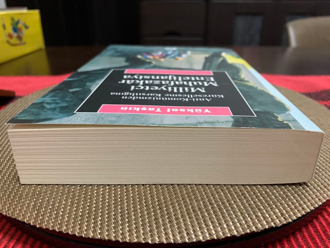 希少　Milliyetçi Muhafazakâr Entelijansiya