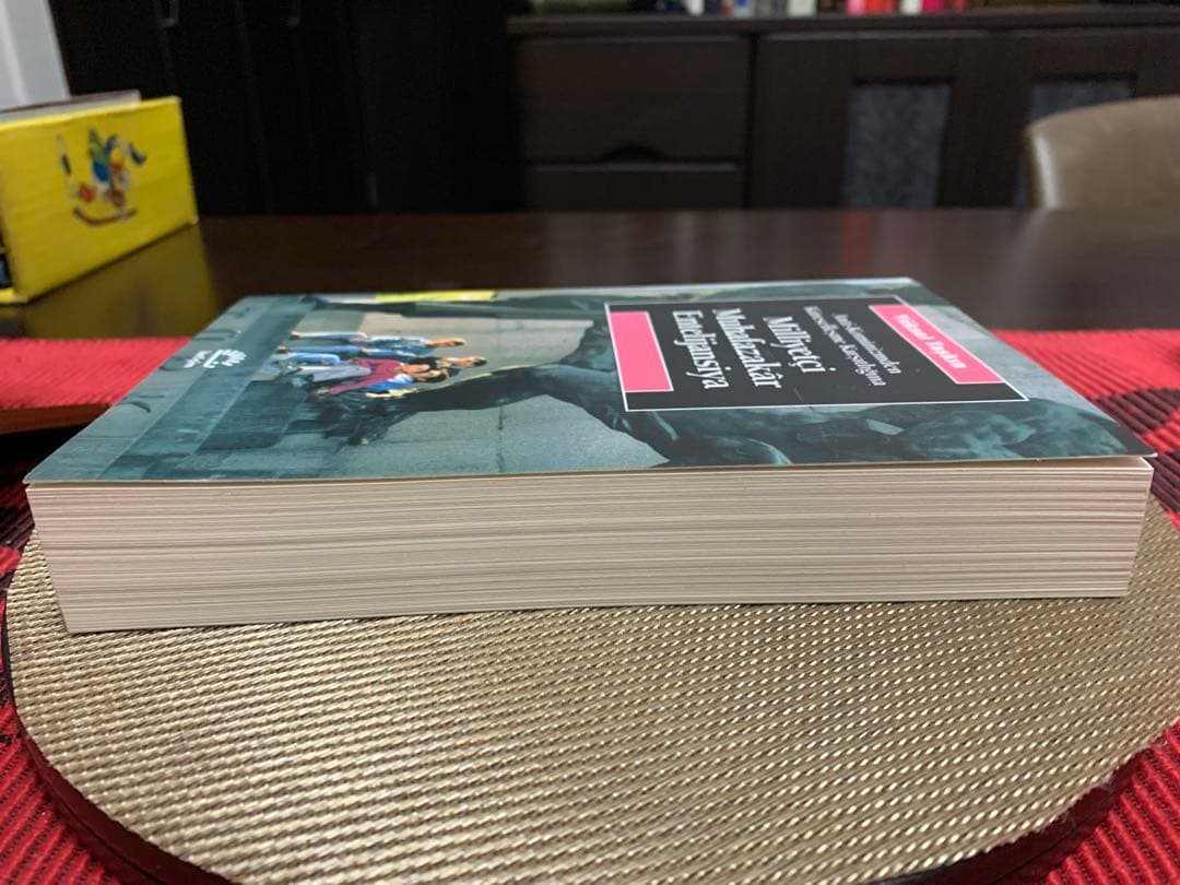 希少　Milliyetçi Muhafazakâr Entelijansiya