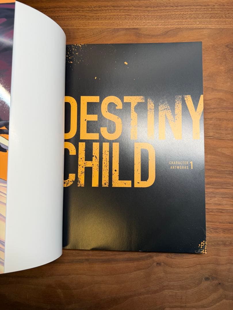 アート・デザイン・音楽 DESTINYCHILD CHARACTER ARTWORKS 1