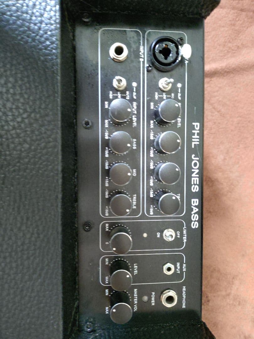 PJB Phil Jones Bass Cub BG-100（訳あり）