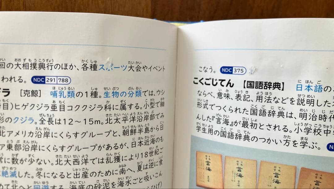 【セット】総合百科事典 ポプラディア 第三版 全18巻